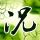 烧烤店老板鱼“越狱”把电视干坏了